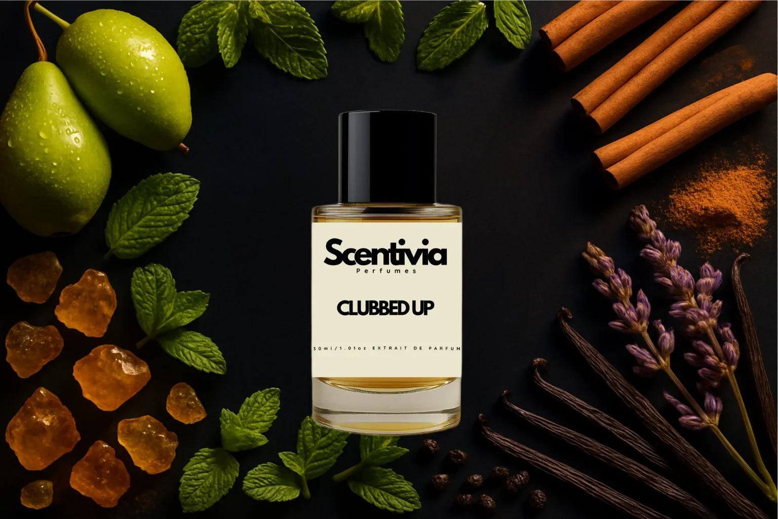 Scentivia Clubbed Up Perfume