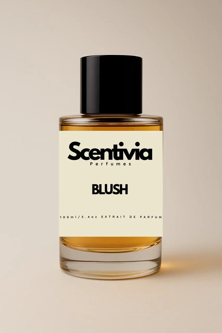 Scentivia Blush 100ml Perfume